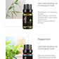 MEALO Free Shipping 30ml*8pcs Pure Natural Perfume Essential Oils For Diffuser Tea Tree Lavender Rosemary Orange Lemon Gift Set